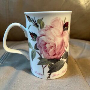 rosa indica roy kirkham 2006 Mug